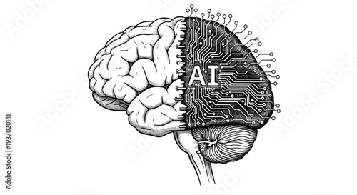 Human brain cognitive neural network sketch
