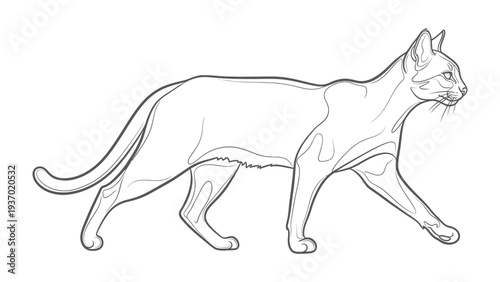 Elegant Cat Contour: A sleek cat gracefully strides forward, its form captured in a minimalist line drawing, showcasing feline elegance.