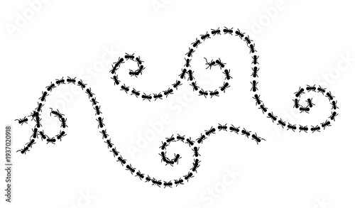 Ant trail swarm path pattern vector insect design