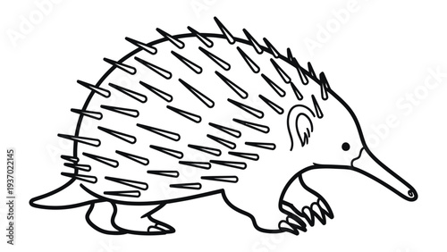 Echidna's Curious Stroll: An illustration of a spiky echidna with a long snout explores its surroundings. It represents the distinctive features of this unique animal.