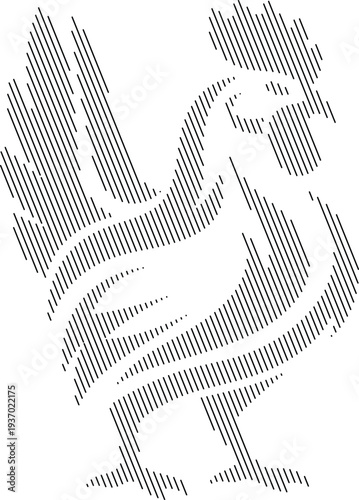 Proud Rooster Chicken Stylized Black Line Animal Illustration White Background, Rooster Standing Minimal Line Art Farm Animal Illustration