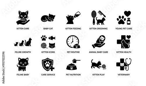 Kitten care icons: feeding, grooming, health, and play symbols