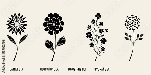 Stylized botanical illustration featuring four different flower types