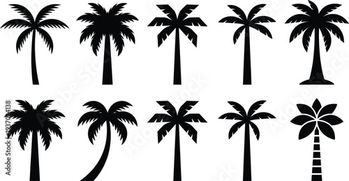 Set of tropical palm tree silhouette icons featuring different coconut palm shapes and styles, black botanical vector collection for summer beach design,