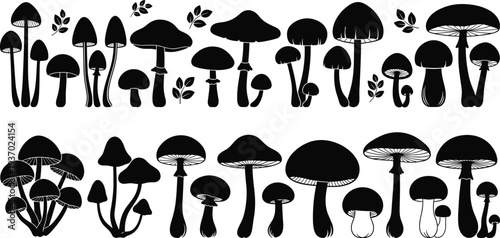 Gave me a title about this photo 'must be 20-24 words' for adobe stock vector illustration content SEO maintain with comma