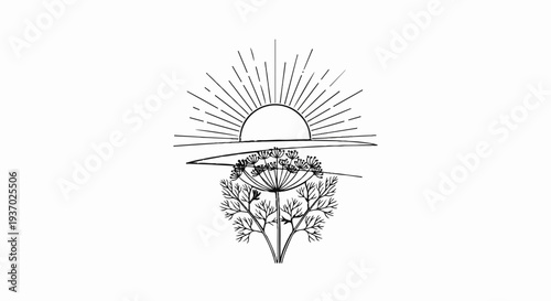 Stylized sun rising over a delicate flowering plant with textured lines