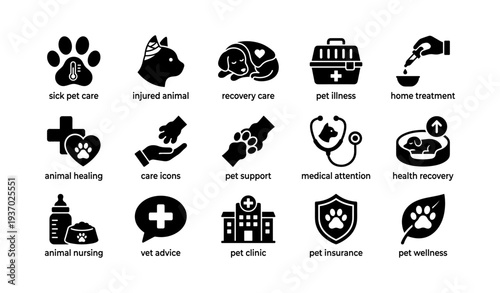 Pet care icons: sick animal support and home treatment graphics