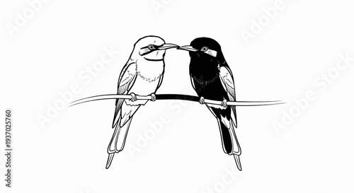 Two birds perched on a branch, facing each other