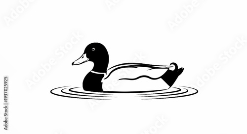 Black and white illustration of a mallard duck swimming peacefully on water
