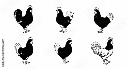 Six stylized drawings of roosters in black and white