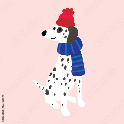 Dalmatian dog breed in winter costume cartoon illustration