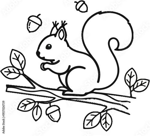 A drawing of a squirrel holding an acorn on a tree branch with leaves and acorns