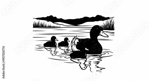 A family of ducks swims in a calm pond with distant hills