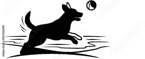A silhouetted dog leaps to catch a ball mid-air, dynamic pose