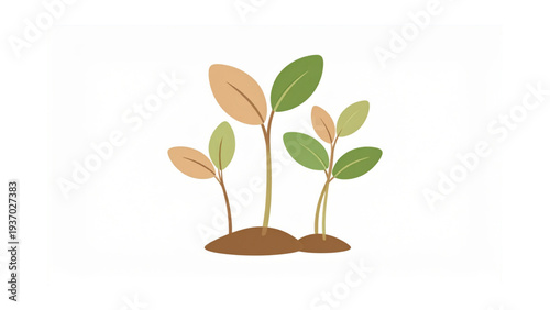 Simple sprout and seed growth vector set for nature designs