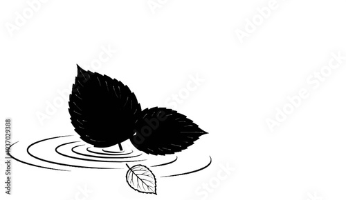 Black leaves float on rippling water, one leaf detached below