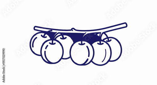 Dark blue outline of a cluster of six apples on a branch