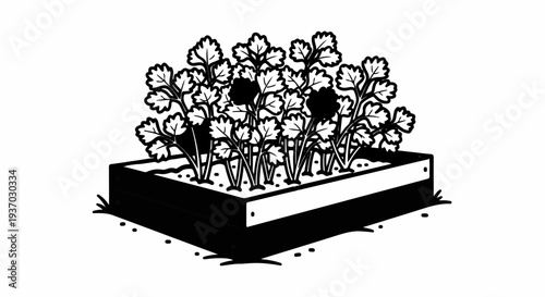 Garden box with lush green herbs growing in the soil