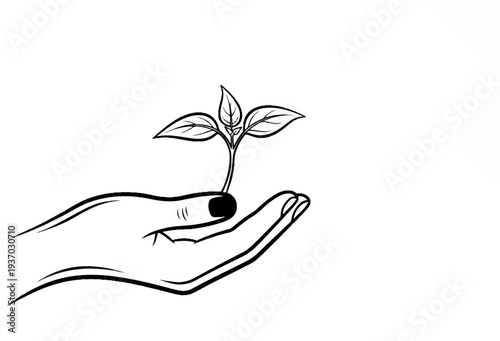 Hand holding a young sprout, symbolizing growth and new beginnings
