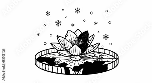 Delicate black and white illustration of a water lily with snowflakes