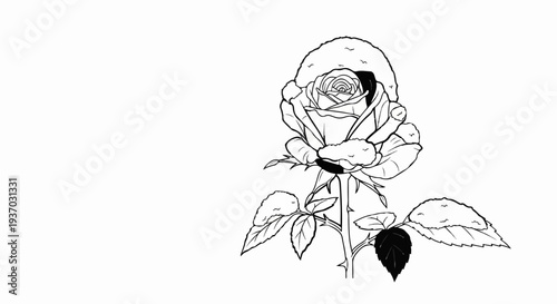 A detailed black and white sketch of a rose bloom with leaves and thorns