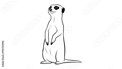 Observant Meerkat : A single meerkat stands tall, exuding curiosity and alertness. The monochrome imagery adds to the image's simplicity and charm, providing a versatile visual for various concepts.
