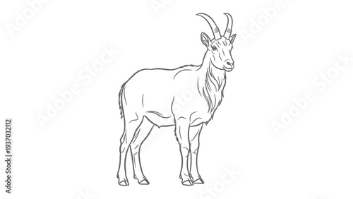 Mountain Goat Outline: A precise line drawing captures the strength and majesty of a mountain goat, showcasing its prominent horns and robust build.