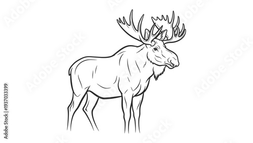 Moose in the wilderness: A majestic moose, captured in a detailed outline, showcases its impressive antlers and powerful build against a stark backdrop, perfect for nature enthusiasts and designers.