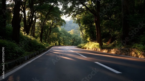 A sun d d forest road winding through lush green trees towards a distant horizon