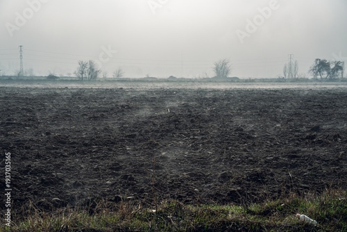 A misty morning view of a freshly plowed field, with sparse trees and power lines in the background, creating a serene yet desolate atmosphere.