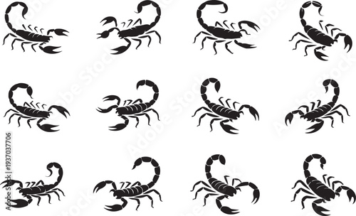 Twelve black scorpion silhouettes in various poses on white background insect arachnid