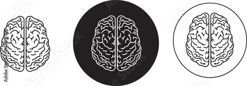 Human brain vector illustration set featuring top view anatomical diagrams in thin line style solid black circle and blue outline isolated on white.