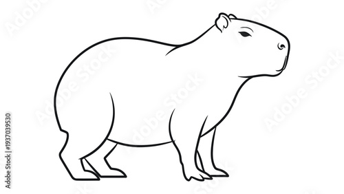 Minimalist Capybara Portrait: A clean, simple line drawing presents a capybara, emphasizing its distinctive form and gentle nature.