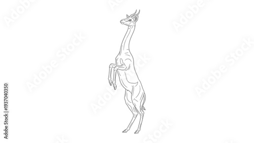 Giraffe Sketch: A detailed, minimalist line drawing of a graceful giraffe standing, emphasizing its elongated form and unique features. 