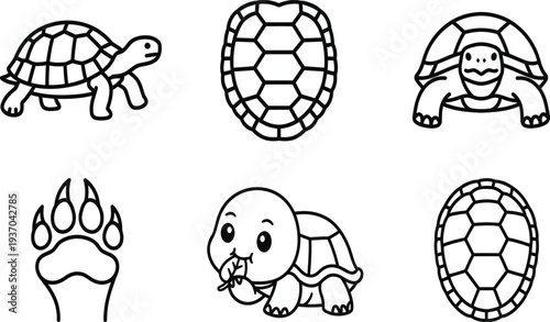 A fun cartoon vector illustration of a sea turtle and fish with flower patterns and nature symbols designed as a decorative reptile sketch icon on a white background