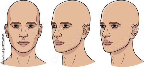 Realistic bald male head illustration reference showing front, profile, and 3/4 angles for anatomy study and art practice