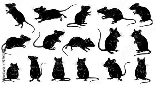 Mouse and rat silhouette set, rodent pest control concept
