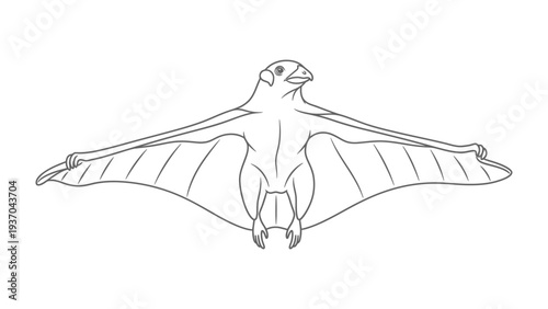 Pterosaur Illustration: A detailed black and white illustration of a Pterosaur soaring through the sky, showcasing its unique anatomy and prehistoric design.