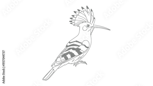 Exquisite Bird Illustration: Intricate lines and delicate details bring to life a charming avian subject, presenting a captivating display of nature's elegance.