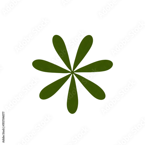 four leaf clover