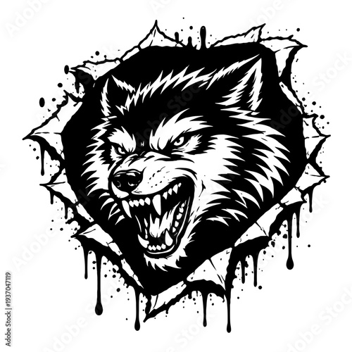 Striking black and white roaring wolf graphic bursting through a ripped, grunge-style background. This fierce vector illustration, complete with aggressive splattered ink and dripping effects, capture