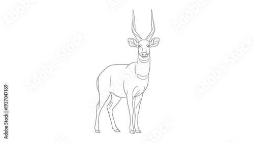 Gazelle Sketch: A clean, minimalist line drawing of a gazelle, emphasizing its graceful form and elegant horns, set against a pristine backdrop. 