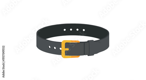 Black Leather Belt with Golden Buckle