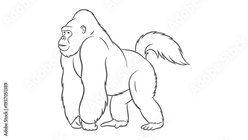 Gorilla Illustration: A sleek, grayscale illustration of a powerful gorilla, its muscular form captured with clean lines and a hint of a smile. This image embodies strength and curiosity.