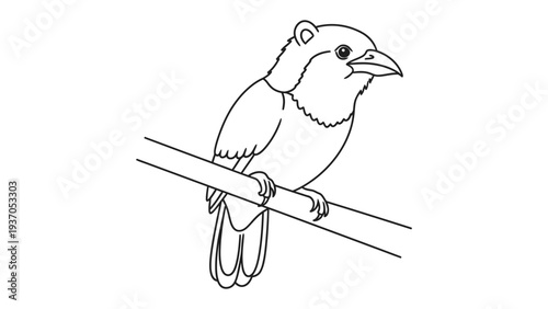 Artful Bird's Serenity: A delicate line drawing portrays a bird gracefully perched on a branch, its serene gaze and elegant form exuding an air of tranquility.