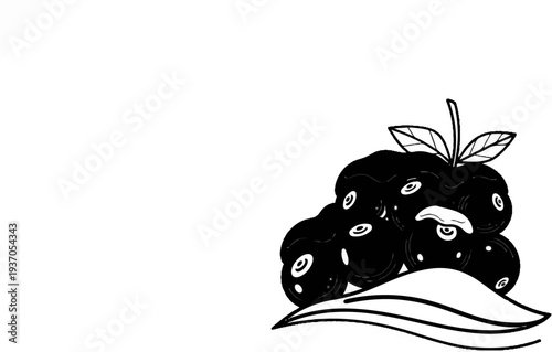 A stylized bunch of dark berries with leaves and stem on white background