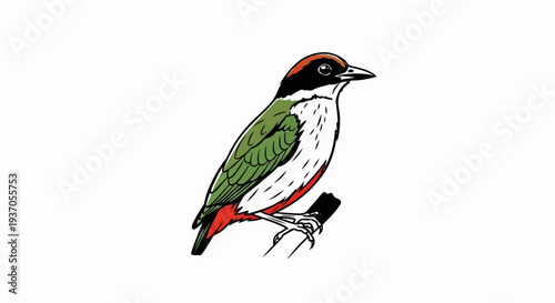 A colorful, illustrated bird with green wings, red tail, and black head