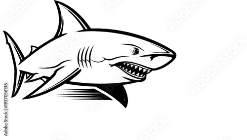 Aggressive shark with bared teeth, fins, and gill lines