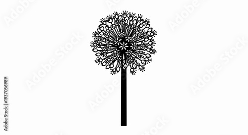 Detailed black and white illustration of a single ornamental allium flower