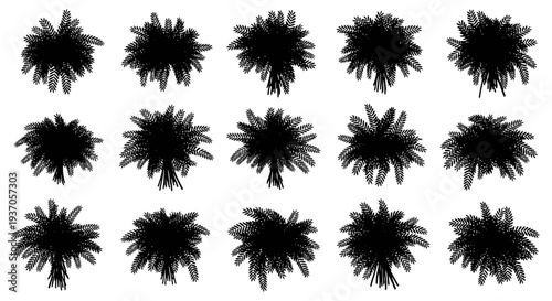 Set of black ink splatters on white background abstract artistic design elements creative textures